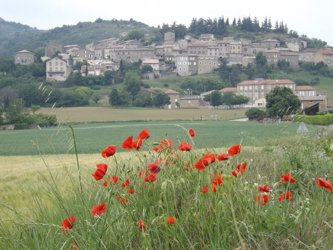 Le village de Toulaud et son champ de coquelicots